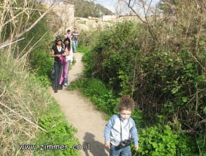 שמורת%20טבע%20נחל%20תנינים%20,%20בית%20חנניה